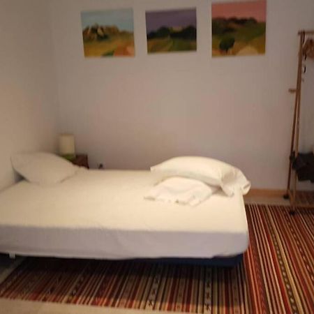 Maison Marijke Garden Studio Ceret Bagian luar foto